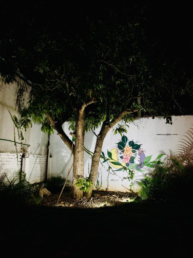 Colorada House Hostel Puerto Escondido  Εξωτερικό φωτογραφία